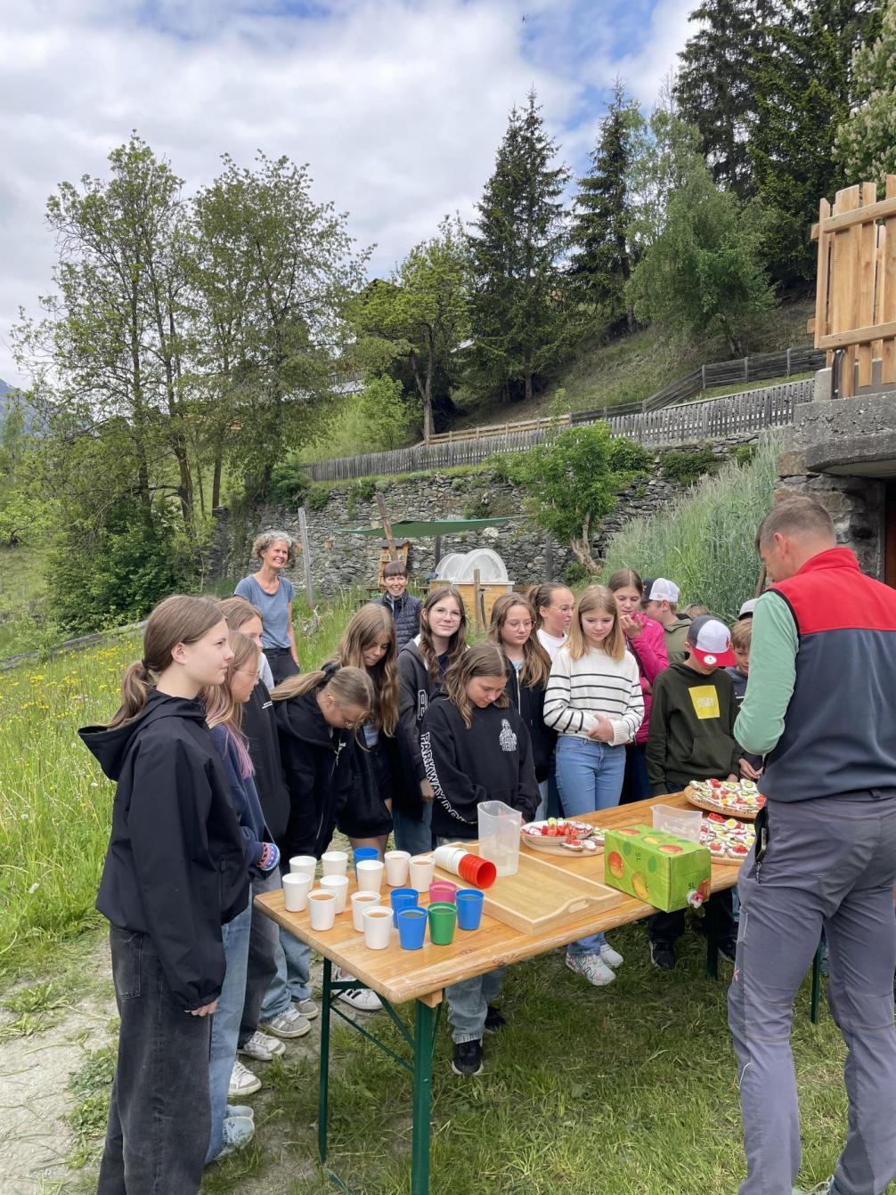 Pflanzenbestimmungen