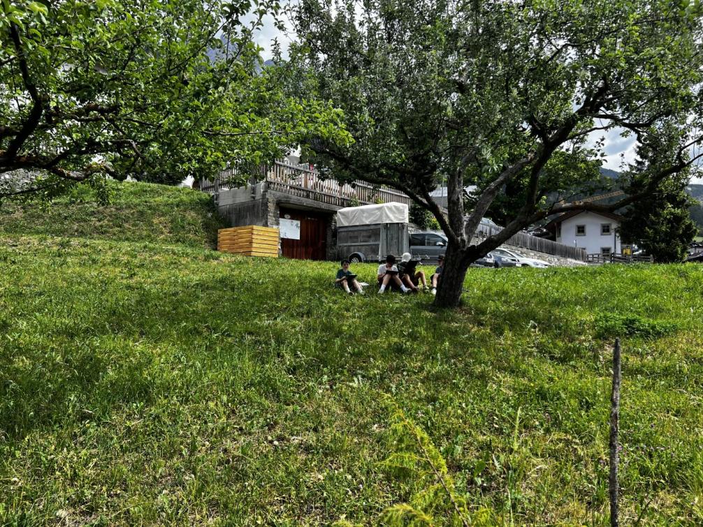 Schulgarten
