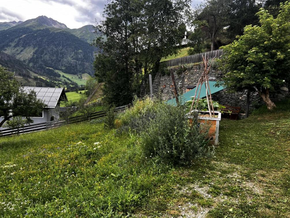 Schulgarten