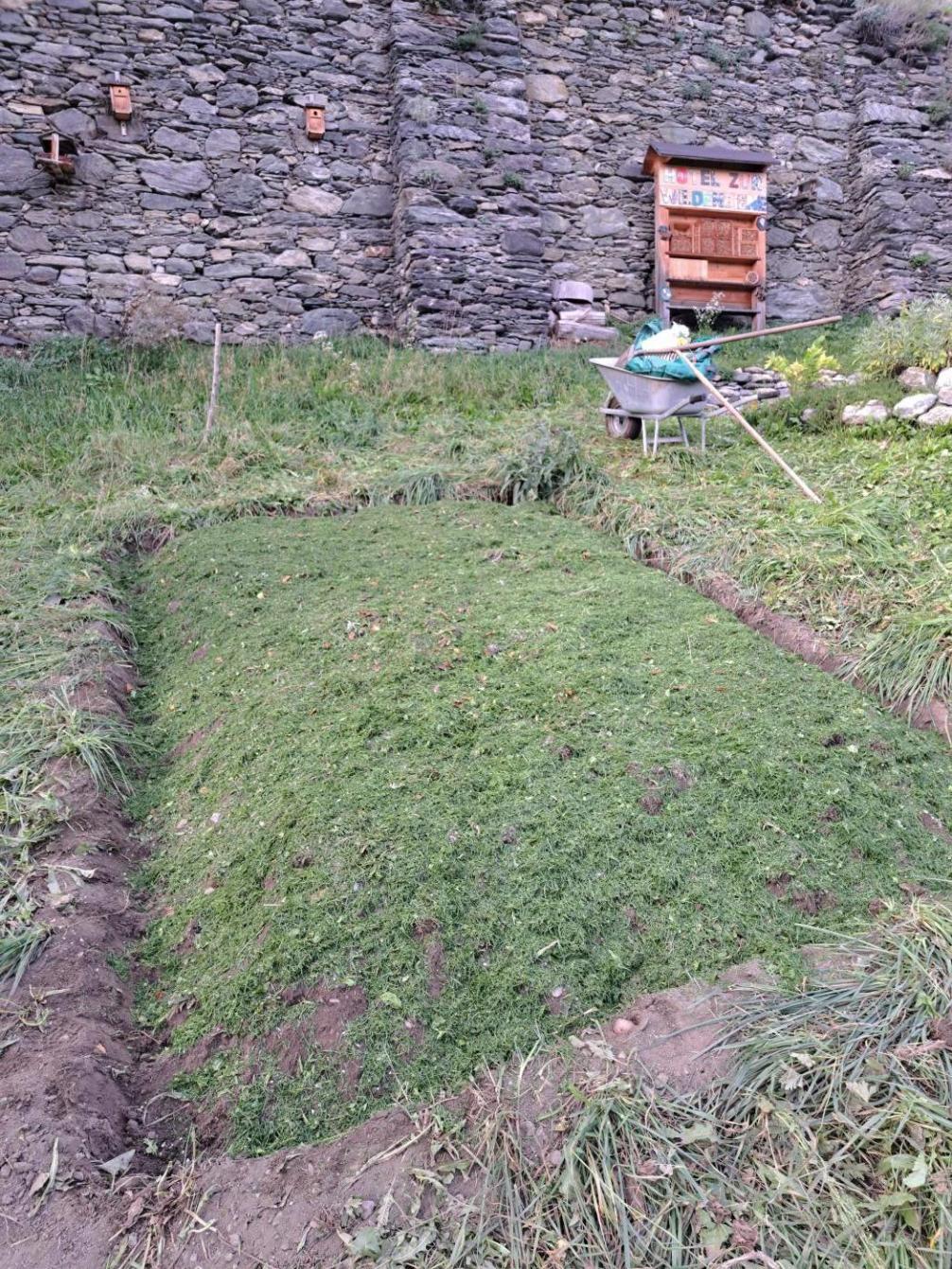 Schulgarten